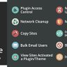 Beyond Multisite - Utilities for WordPress Network Admins