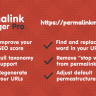 Permalink Manager Pro  - WordPress Plugin